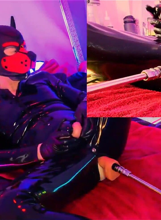 Nicolaus Rubber Show with Pet Mask
