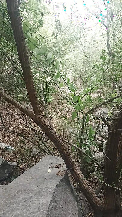 Mother in law watching me in forest in 1 second