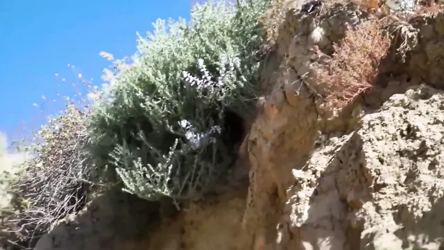 Huge cock fucks muscular slutt on the beach