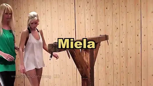 Hukuman miela telanjang di punggung