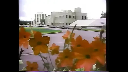 A Big Cock for Christmas