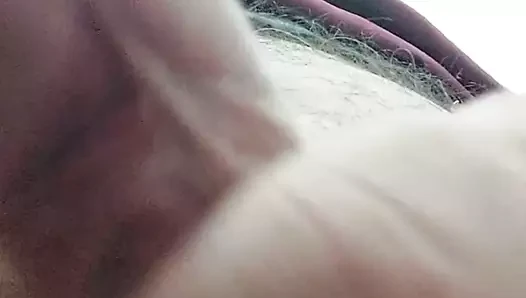 Austrian porn video – Kleiner Penis