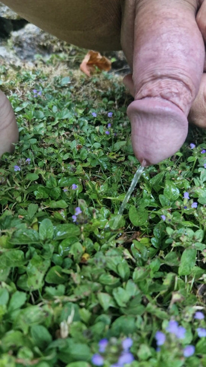 pee fun in the garden