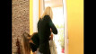 Pregled videozapisa