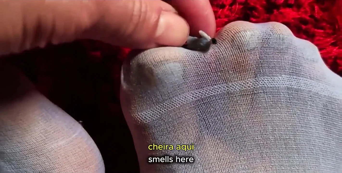 Cruel Giantess Orders Her Miserable Little Man to Smell Her Pussy