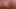 Cam masturbation self Cumshot on cam with new model here!!
