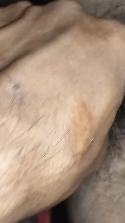 Video sexy cu bhabhi desi | Clip 1