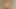 Leigh Livingstone POV