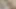 xhamster verification