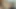 Son in law fucked his mother in law at home she also gives blowjob to him both enjoyed orgasm