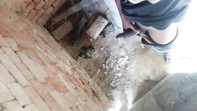 Desi Broken six