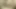 Horny dildo anal masturbation