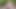 植物園でのフラッシングとマスターベーション