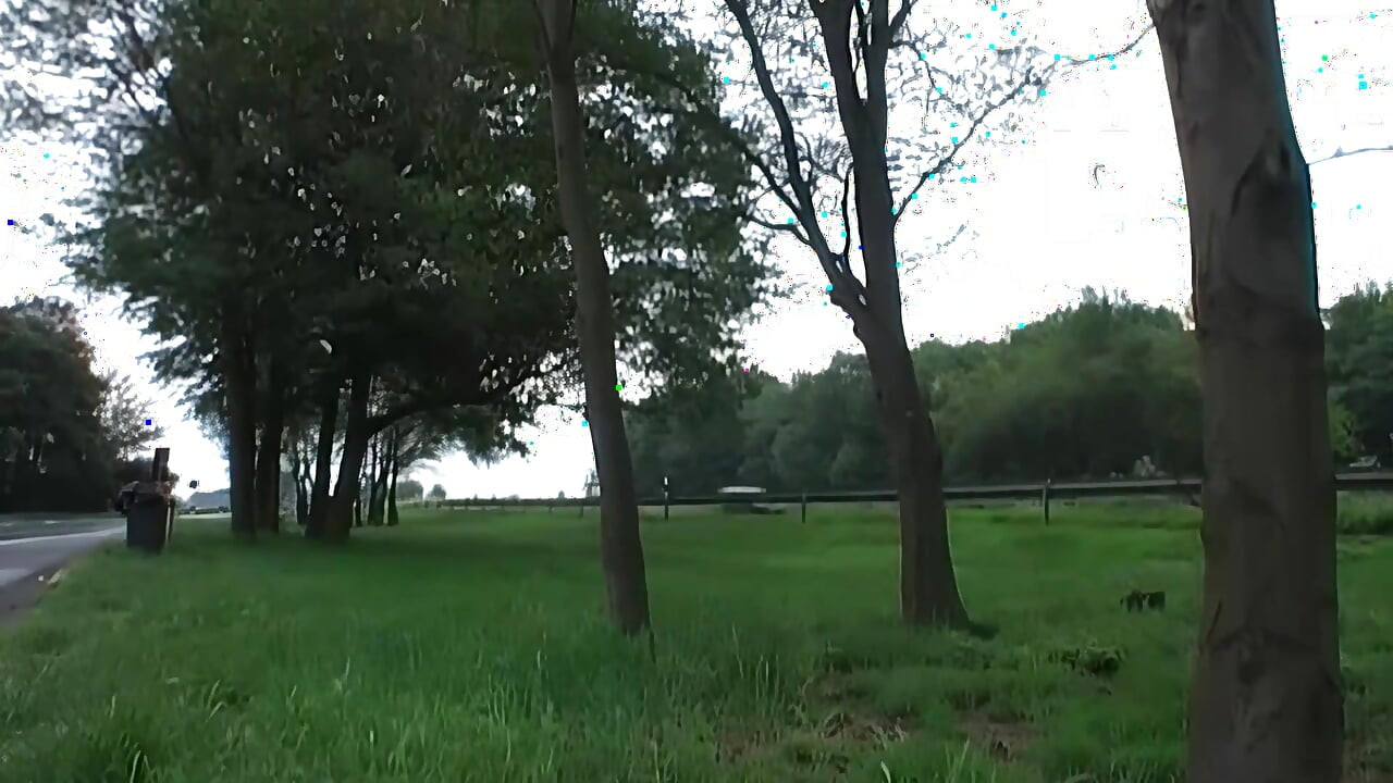 Wild Car Sex with Handjobs, Blowjobs & Outdoor Fucking