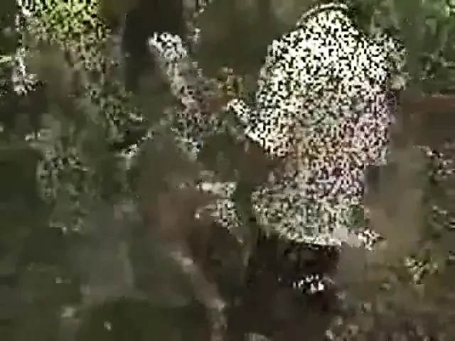 Dogging in the Woods with special ending