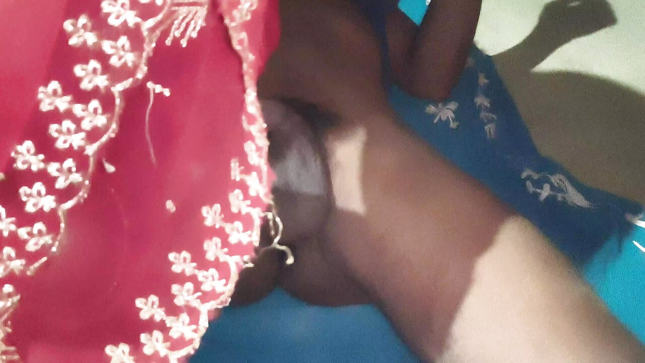 Indian desi stepsister's pussy fucking in Hindi audio