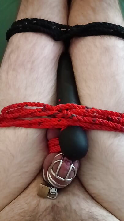 Cum in chastity and bondage