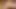 Living with my busty grandmother