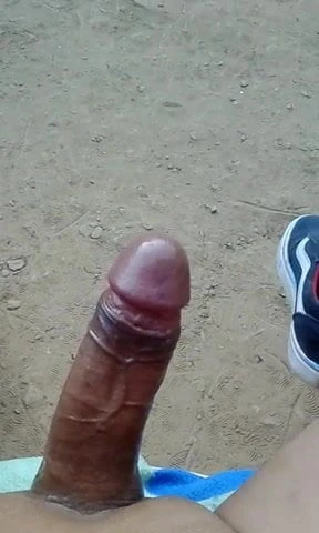 Pajero solitario