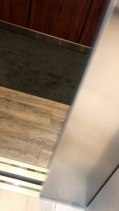 Piss in hotel hall and elevator.
