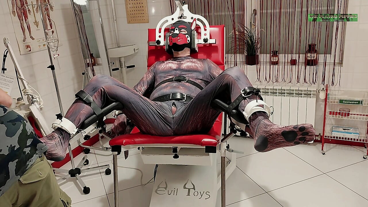 Spelar Valpar Den Första Undersökningen