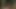 歌