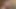 Horny couple hardcore fucking in the Indian Forest