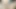 Nude Video call – Wali Mal