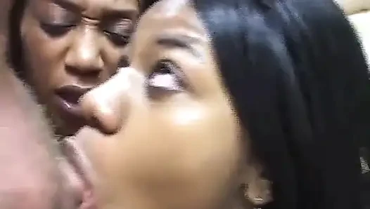 Cewek kulit hitam pantat besar suka mengisap kontol putih