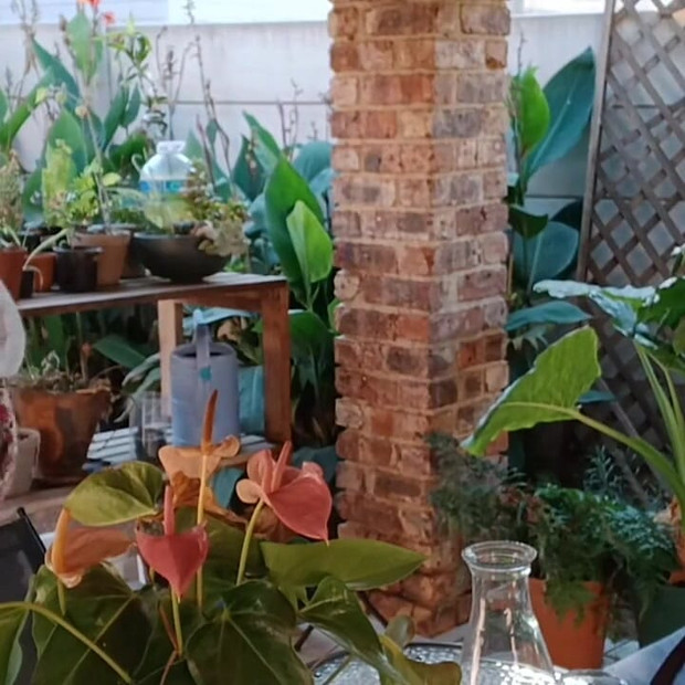 Zabava na otvorenom s kurvastom ženom mojih susjeda