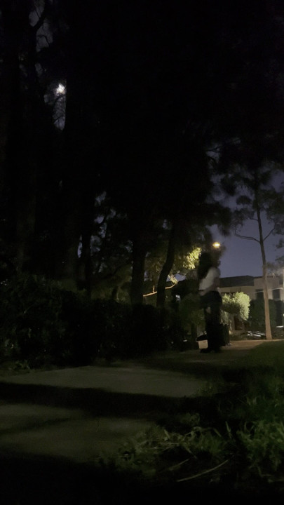 Asian sissy in school girl uniform night walk in park with vibrator