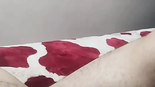 Arab Porn Maroko