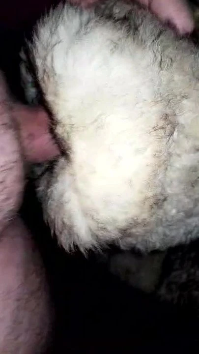 Furfuck