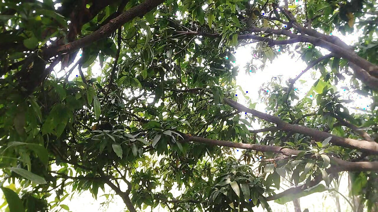The boy from the local village goes to the garden and climbs on the ground and punches him