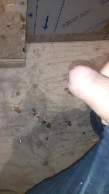 Big dick McGee jarred333
