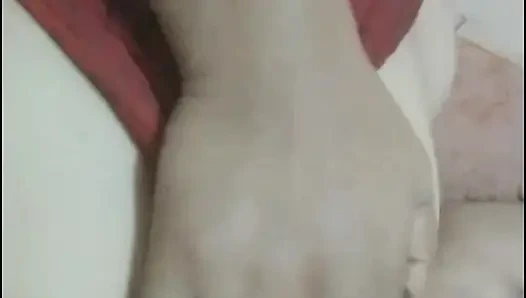 Rasilli bhabhiji ke rasilli chuchi hot maal sexy randi bhabhi