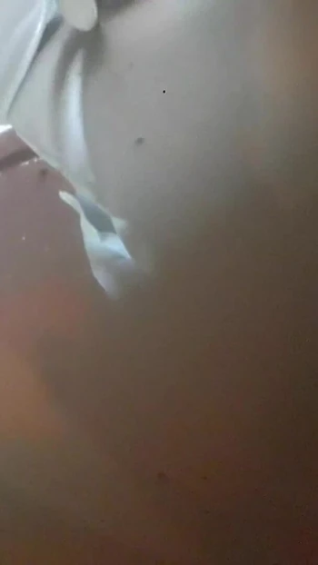Erőteljes pillanat a "Megbaszom a szobalányt főzés közben" című filmből
