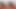 君は本当にセクシーすぎて勉強に集中できない - 女性視点 VR
