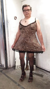 Pregled videozapisa