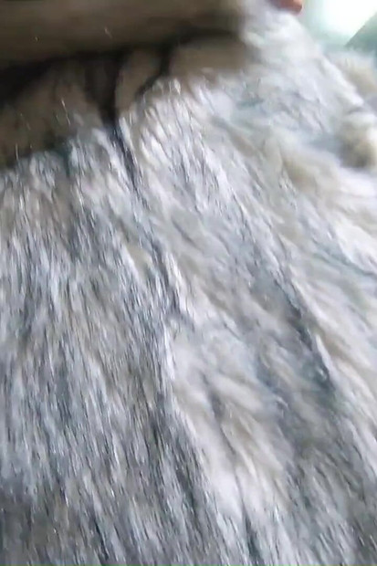 Milfycalla Blowjob in Fur Coats Cum All Over My Expensive Furs
