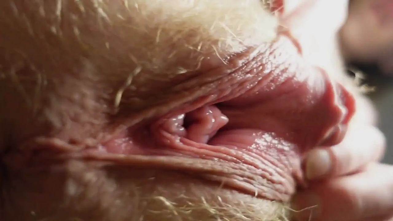 POV Facesitting Riding Your Face with My Beefy Pussy