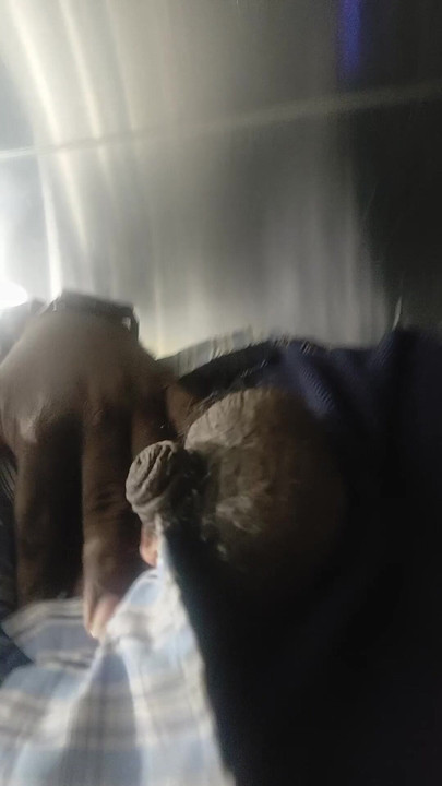 my small uncut dick