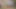 Gray haired step dad 1 fucked by big dick