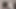 unique dick with precum glans massage masturbation