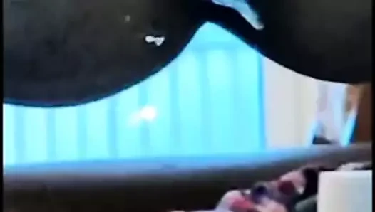 Asscum