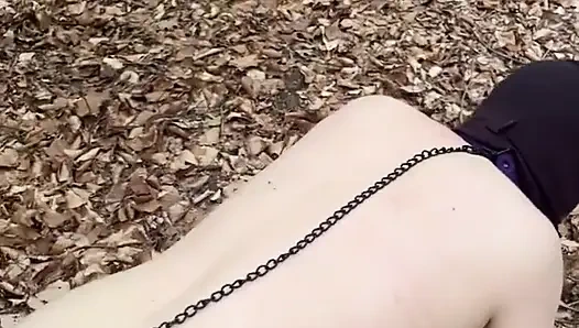 Humiliation in the Forest...