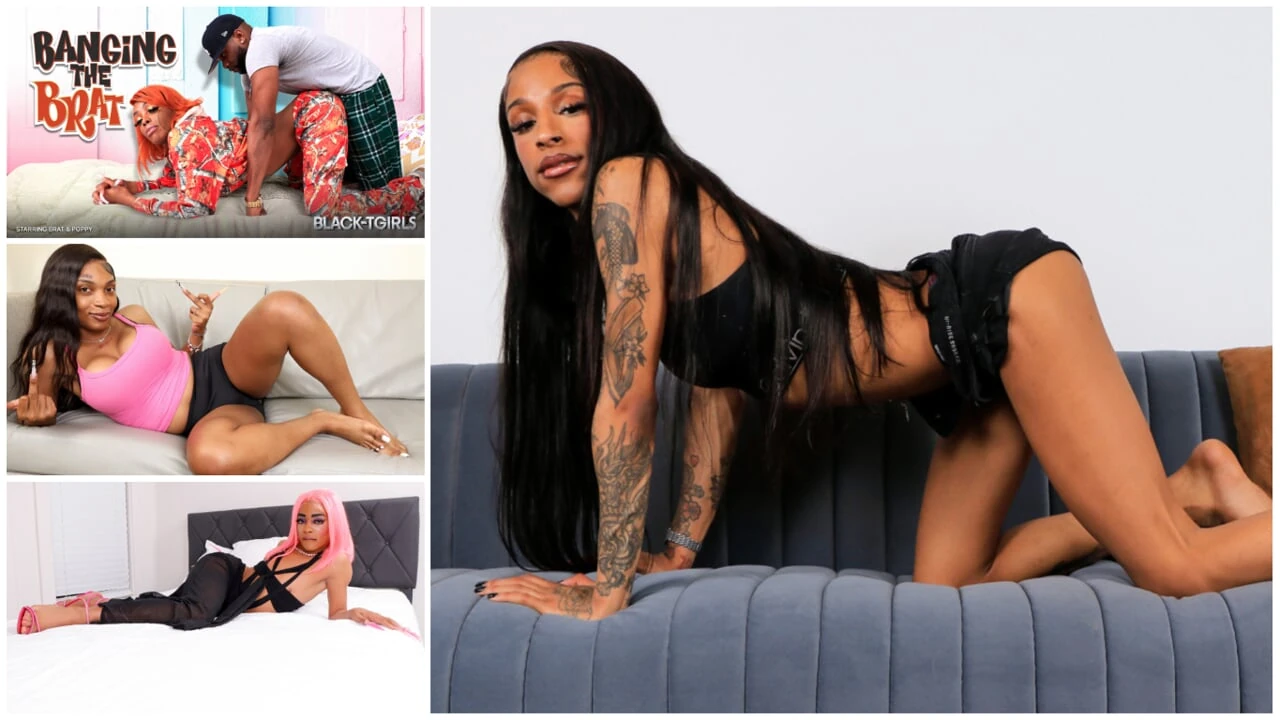 Black tgirls - actualizaciones de compilación del 2 de junio al 6 de junio '25