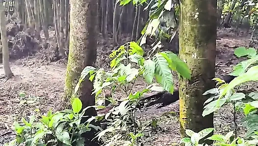 Тихая красотка моего сада