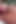 Japanese Mustache Older Gentleman Cutest Teddy Bear on Xhamster
