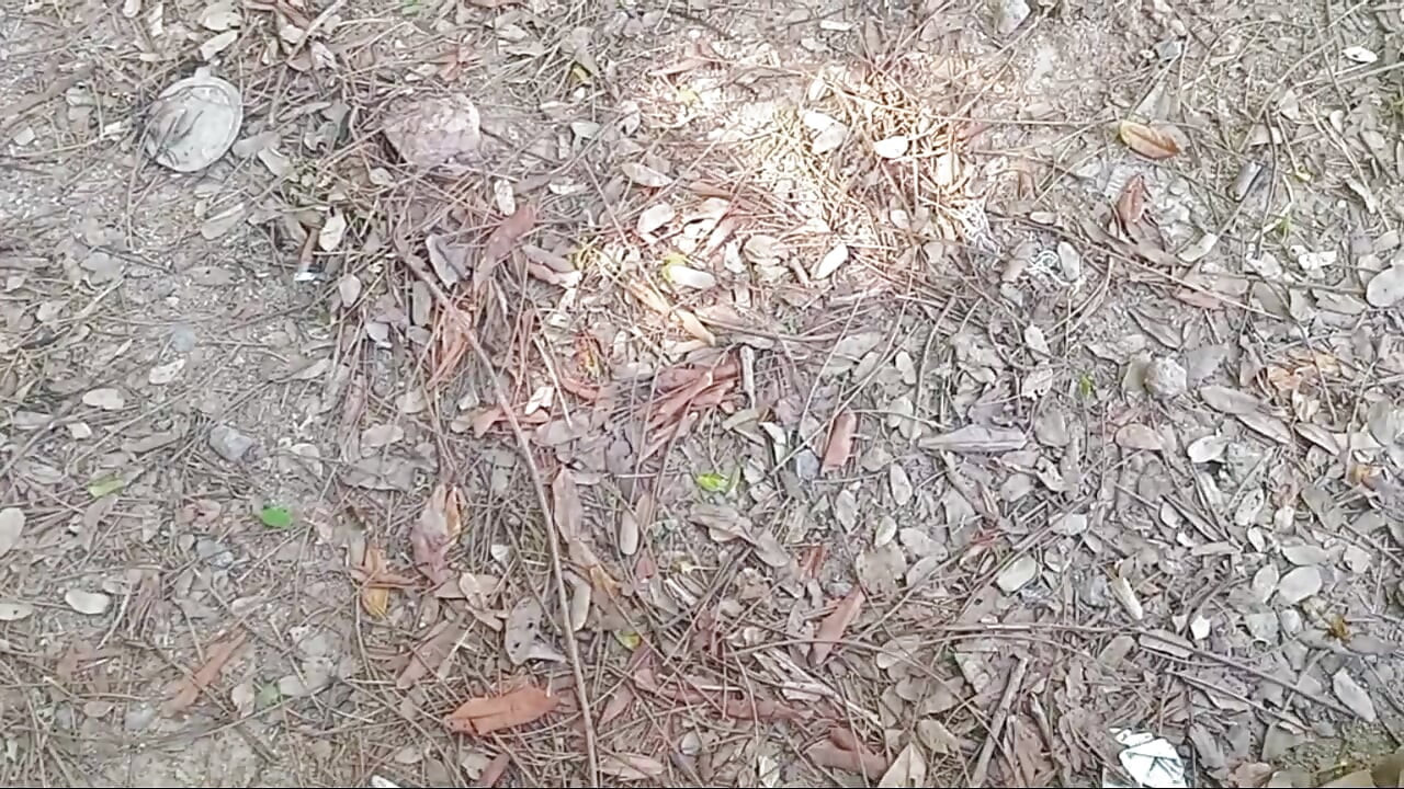 INDIA CALIENTE CON INDIA 18 + VIDEOS DE SEXO